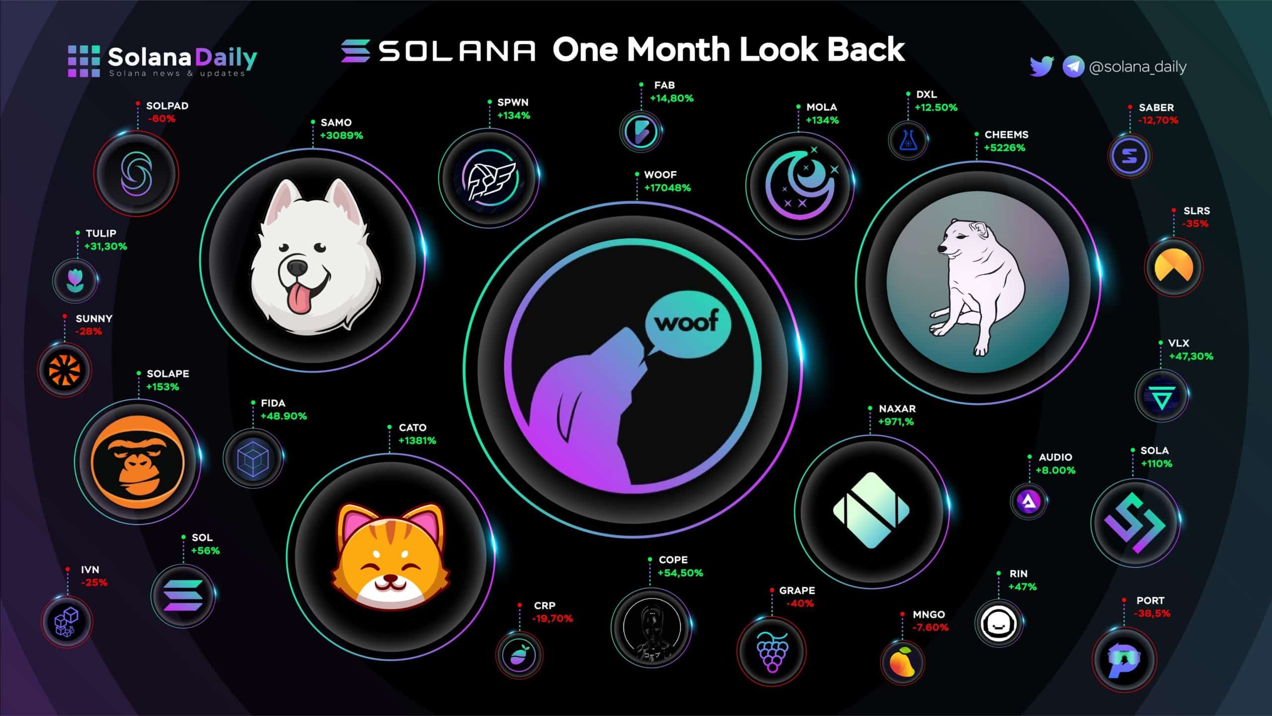 Top 5 Solana dApps 2026: Best DeFi and NFT Projects