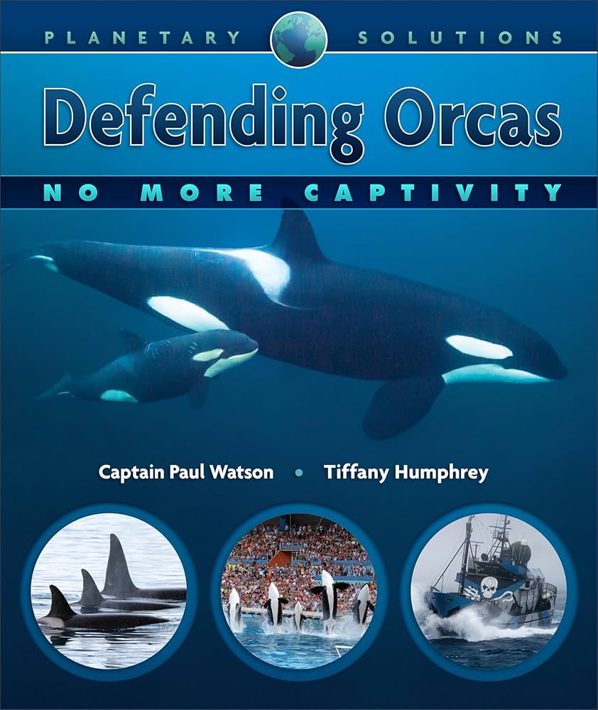 Orca Whirpool Strategy