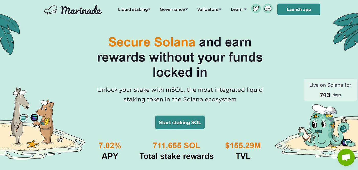 Marinade Finance Liquid Staking Ledger