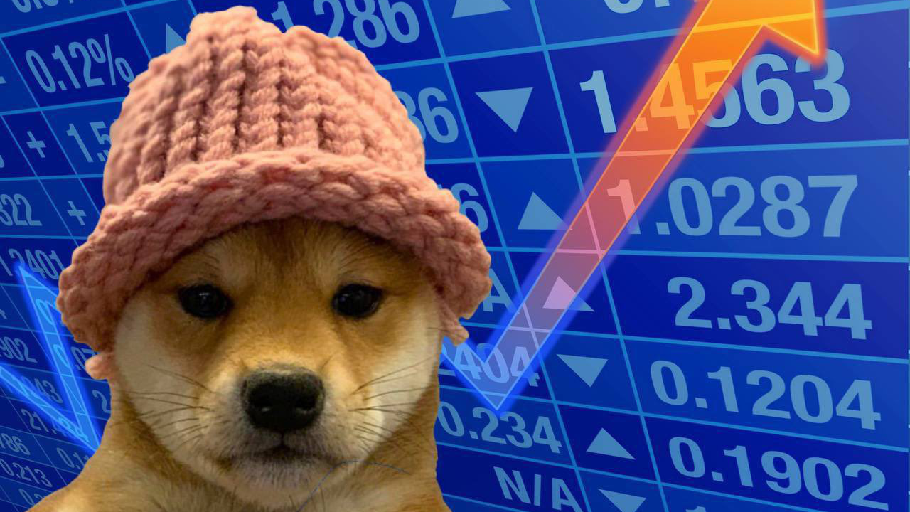dogwifhat WIF Solana meme coin logo