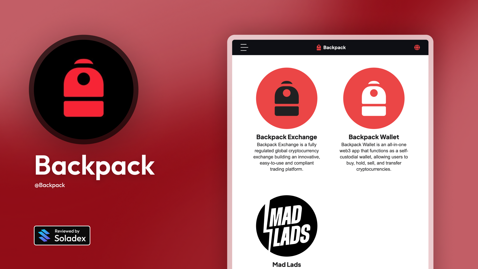 Backpack wallet security features