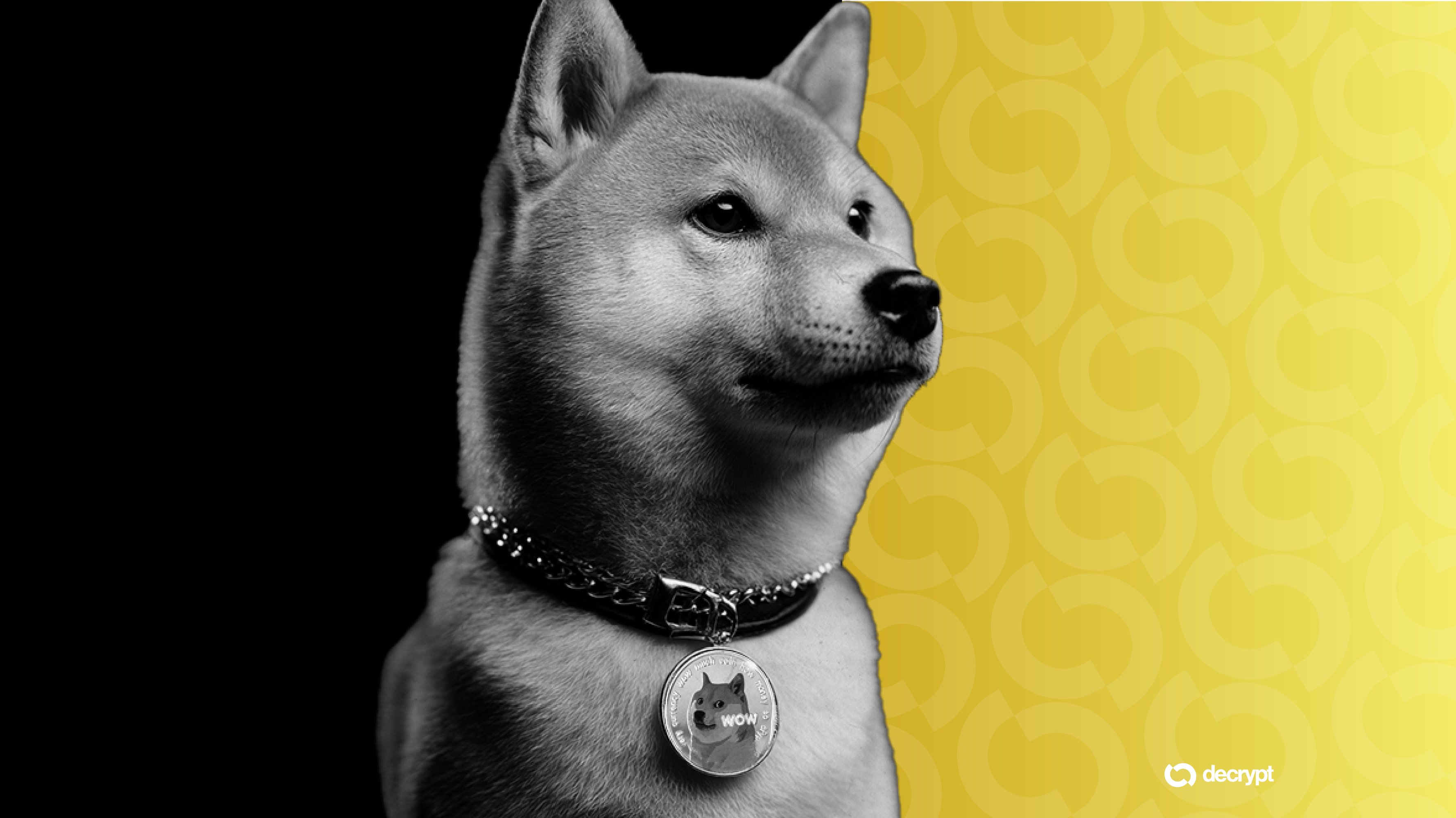 Doge Quest referral chain