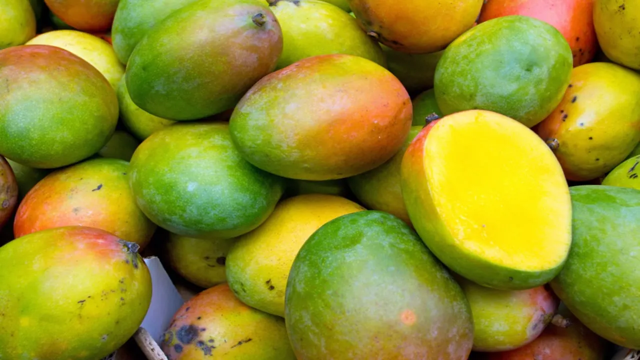 Mango Markets Solana trading interface