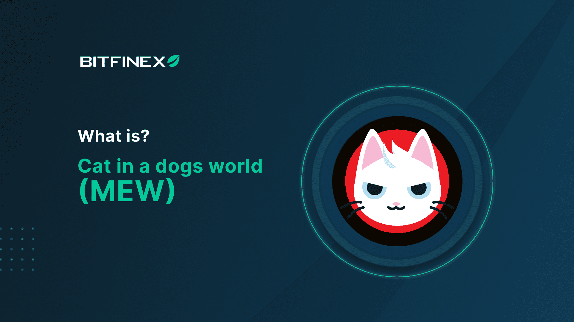 Cat in a Dog's World MEW Solana meme coin logo