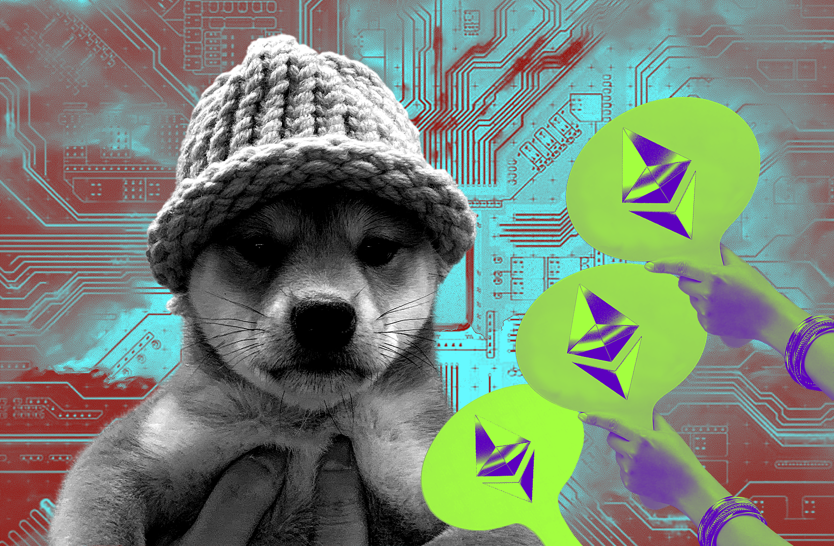 Dogwifhat Solana meme coin dog hat