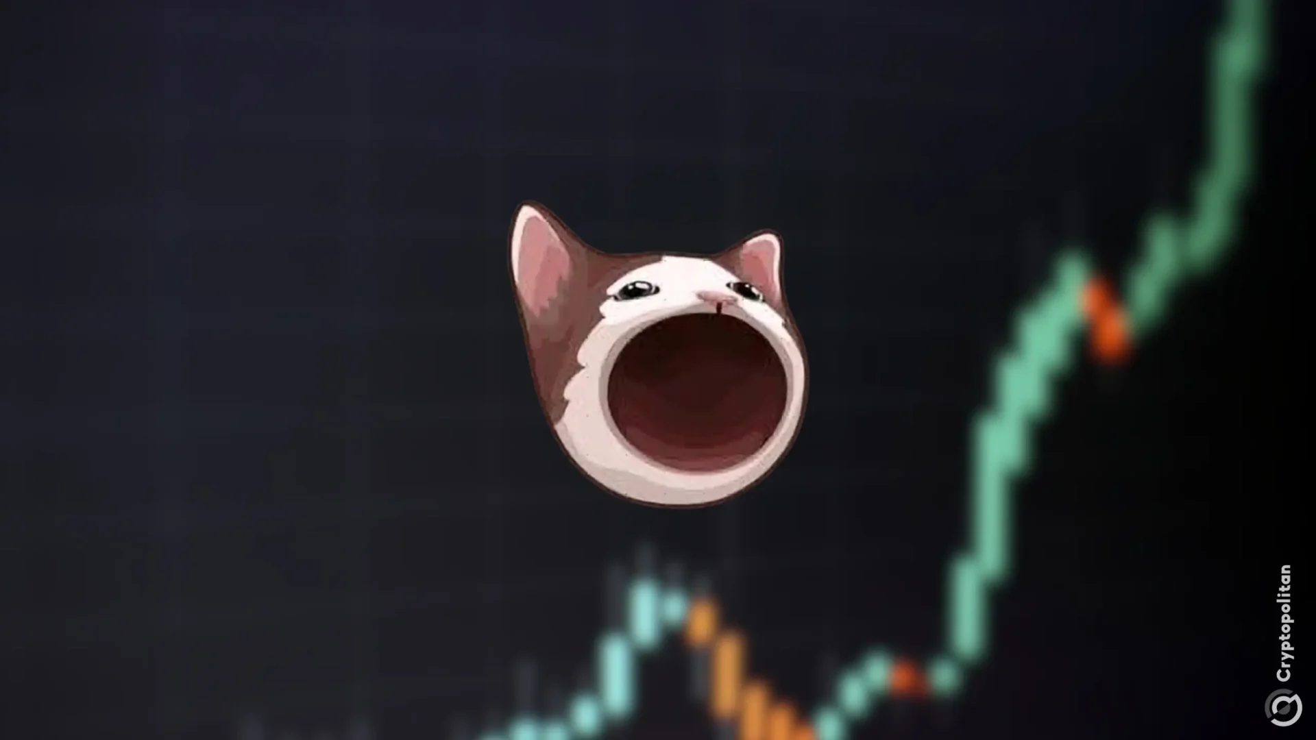 Popcat Solana memecoin 2025